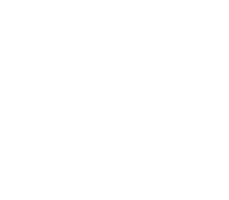 the dental spa
